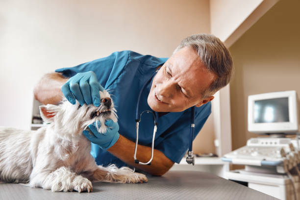 Best Emergency Wisdom Tooth Extraction in Broussard, LA